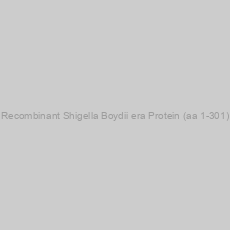 Image of Recombinant Shigella Boydii era Protein (aa 1-301)